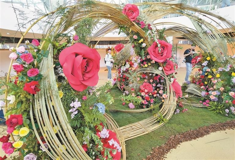 深圳月季花展来了