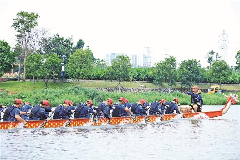 茅洲河龙舟赛周末开赛