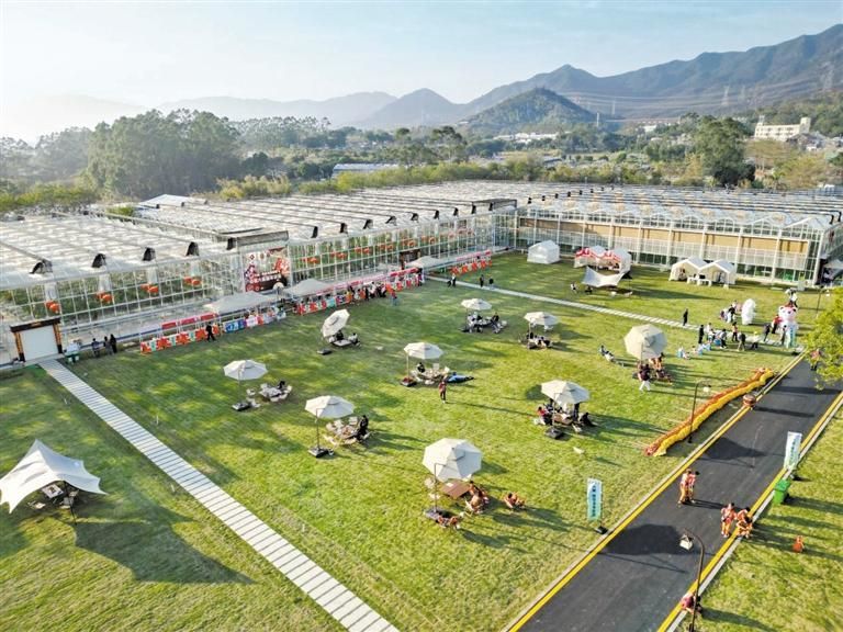 到大鹏·四季滨海田园清凉一“夏”