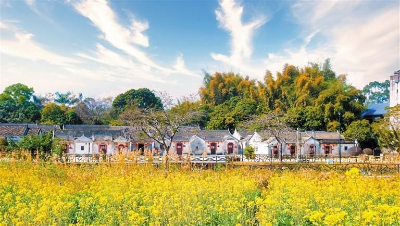 龙华“守望田野”线入选全国乡村旅游精品线路