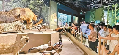 不“约”而至后深圳各大展馆推出更多贴心举措