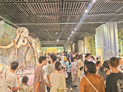 深圳博物馆的盛夏果实 深圳博物馆的盛夏果实