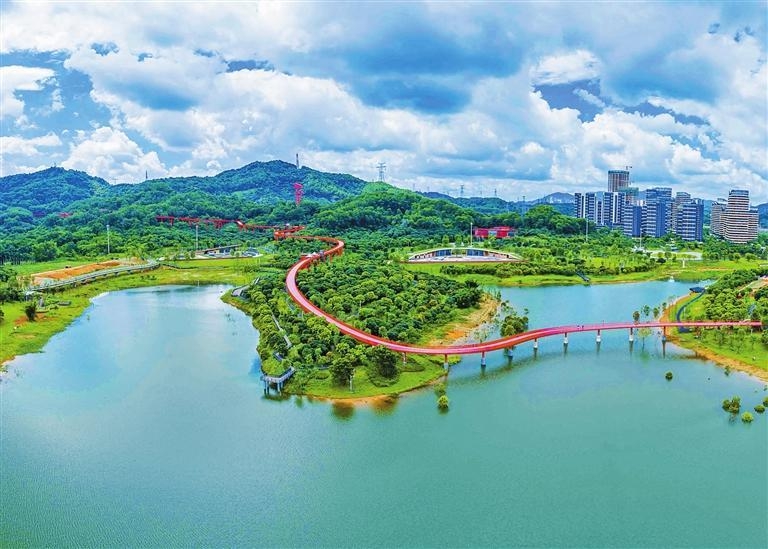 20场精彩活动轮番上演 给市民带来视听盛宴