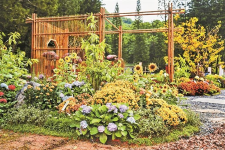 仙湖这场花样年华不可辜负