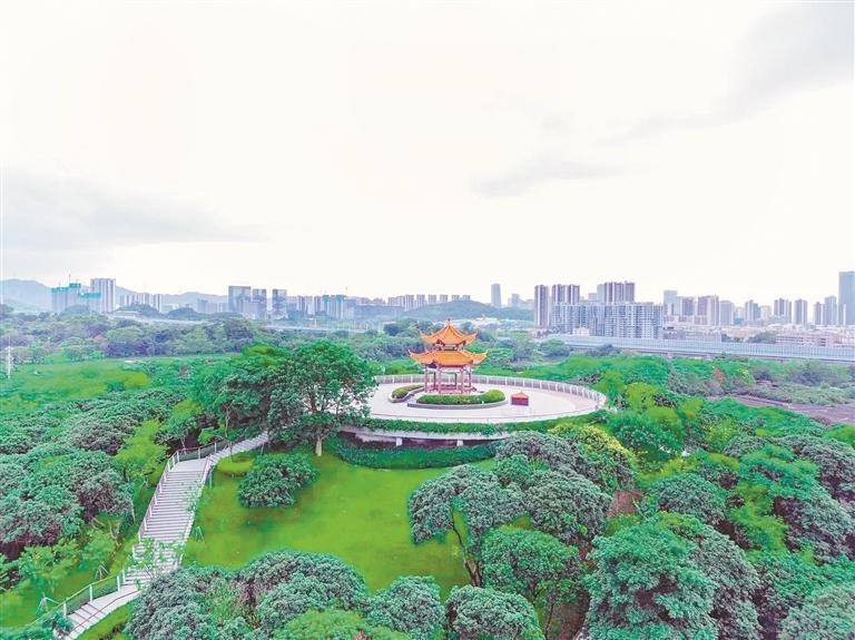 光明区户外运动季 徒步活动周六举行