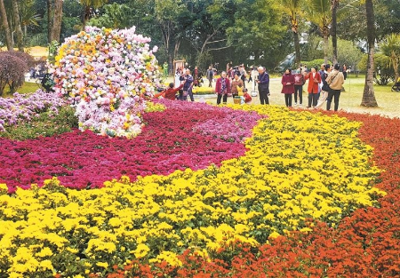 看菊风菊舞 赏紫色花海