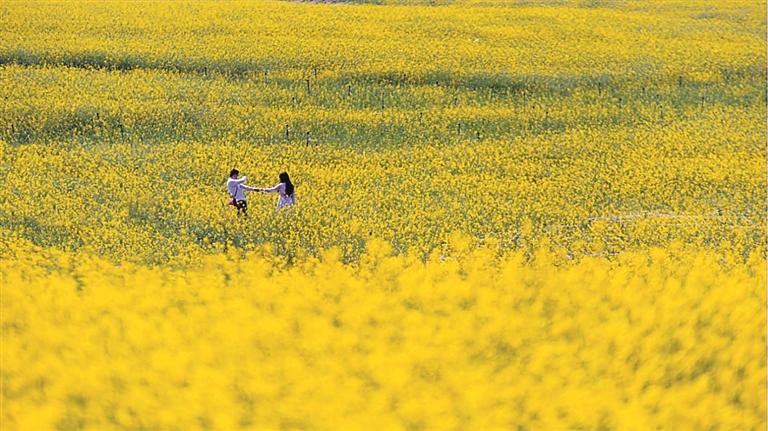 福到光明迎新春 好看好玩乐不停