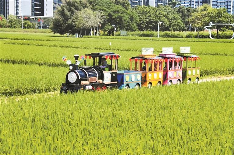 华侨城旅游狂欢节光明分会场启幕