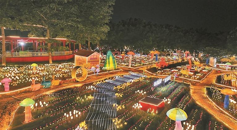 光明农场大观园周末推出龙眼狂欢季活动